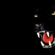 Panthera