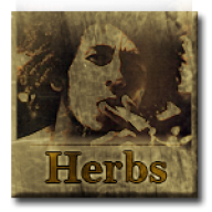 Herbs