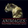 Animages