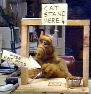 alf-cat.jpg