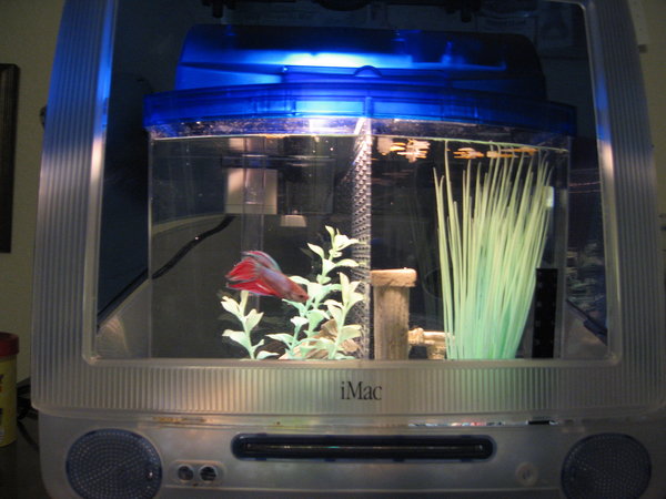 iMacquarium8.jpg