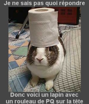 lapin_10.jpg