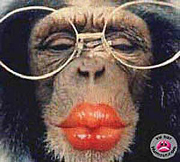 bisous2.jpg