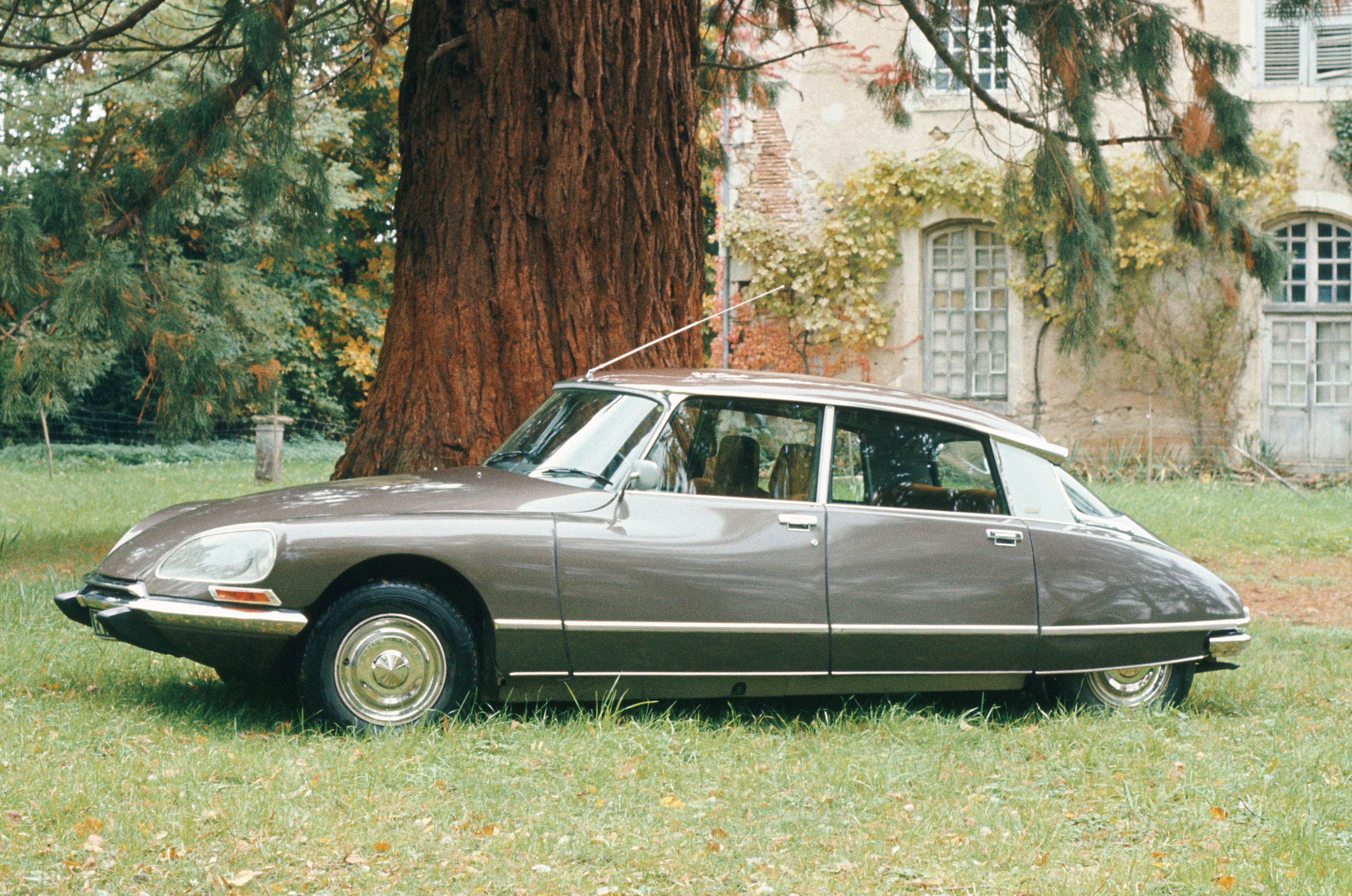 23-pallas-293707.jpg