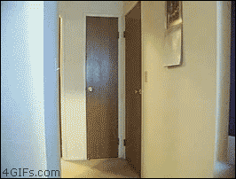 porstes-molles.gif
