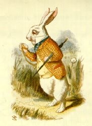 alice-rabbit-tennile.jpg