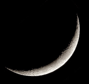 lune-avi2_1-compress7-3.jpg