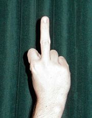 180px-Middle_finger.JPG