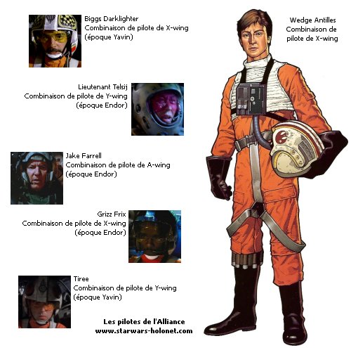 org_pilotes_alliance_6.jpg