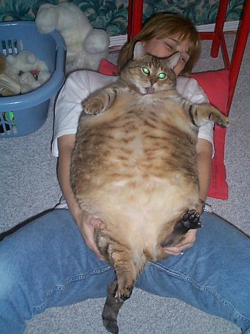 animaux-10.jpg