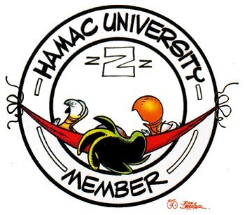 hamac-university.jpg