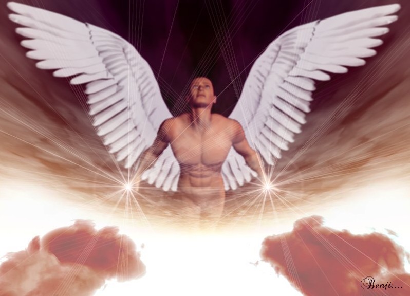 ange.jpg