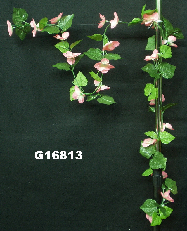 G16813a.jpg