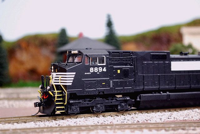 C449W_8894.jpg