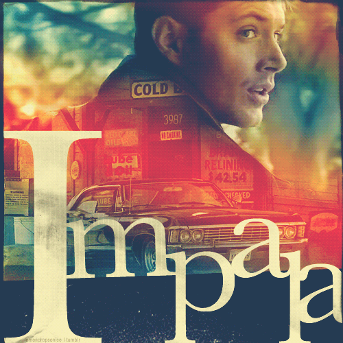 impala.gif