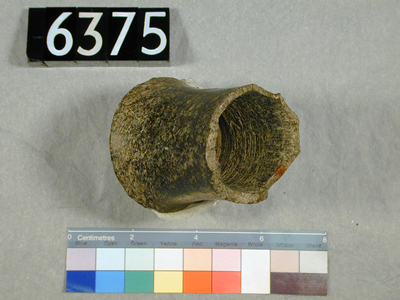 uc6375.jpg