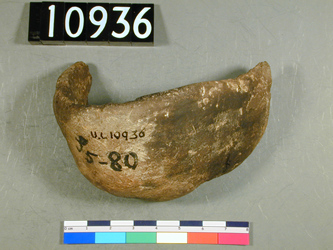 uc10936.jpg