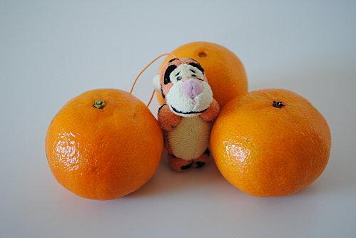 mardi-orange-L-pnUPKD.jpeg