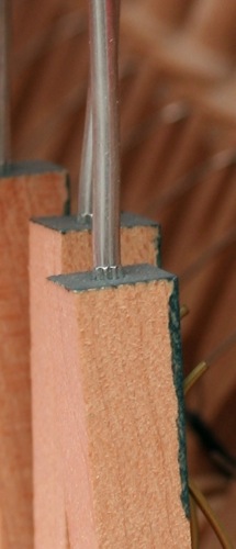 section_MQCD_2.jpg