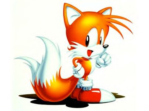 tails_1.jpg