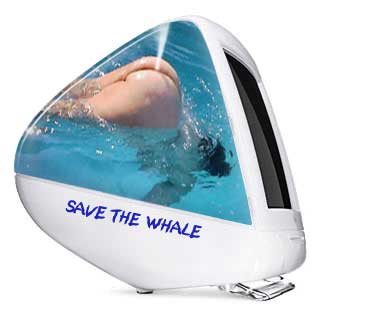 imacwhale.jpg