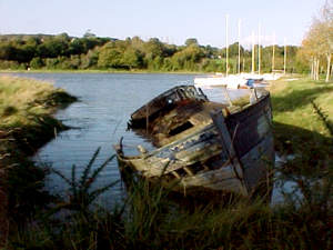 bateau-stgue.jpg