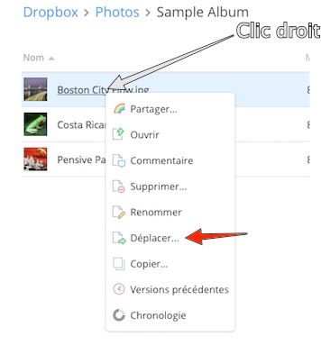 DropBox Déplacer.jpg