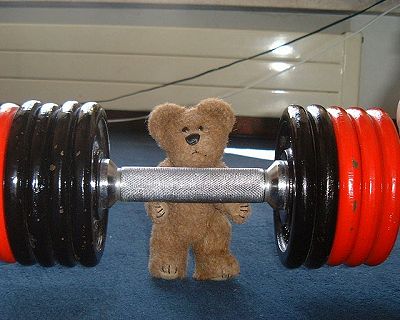nounoursmuscle.jpg
