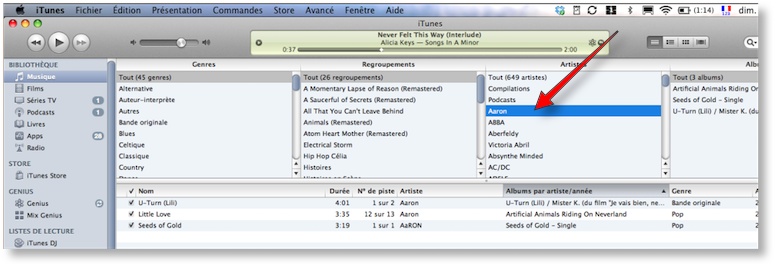 iTunesArtistes1.jpg