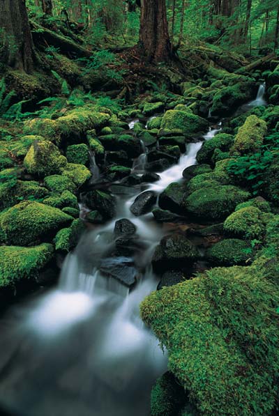 cascade.jpg