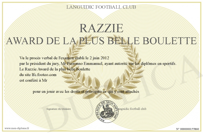 700-155860-razzie%20award%20de%20la%20plus%20belle%20boulette.jpg