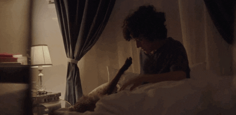 giphy.gif