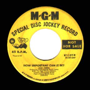 mgm11919dj.jpg