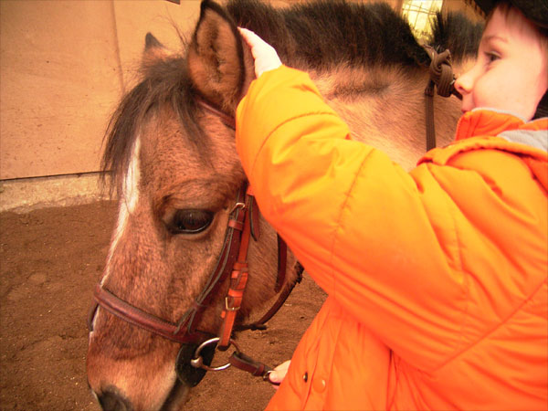 poney2.jpg