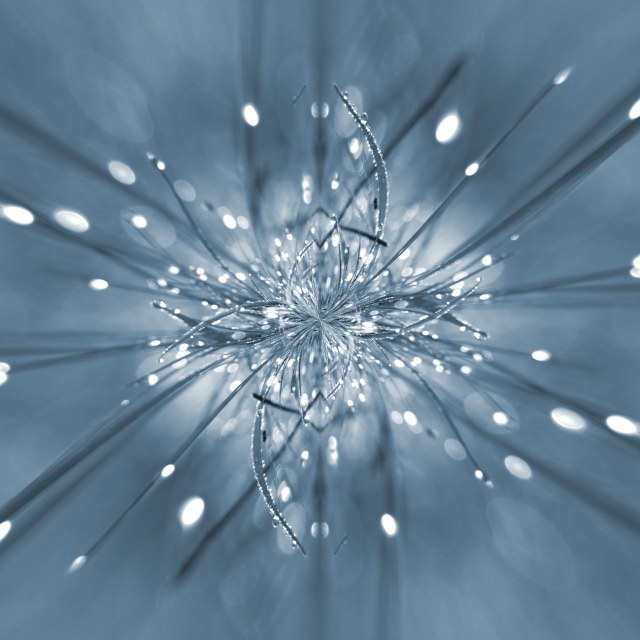 diaman10.jpg