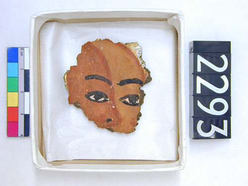 uc2293.jpg