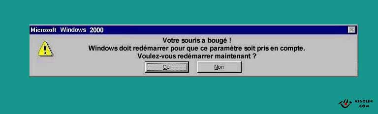 windows_2000_bugs.jpg