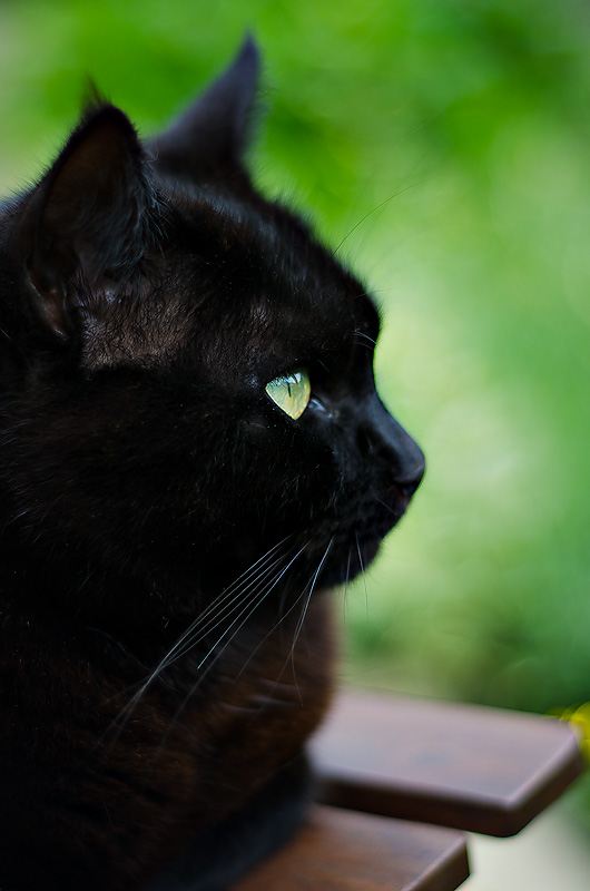 DSC_9262.jpg