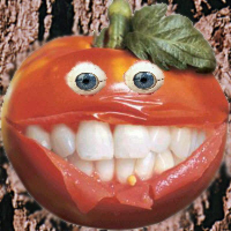 rouge_tomate.jpg