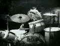animal6ih.gif