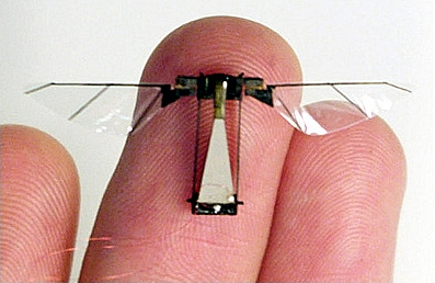 robot-insecte-harvard.jpg