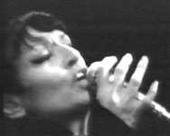 n11.jpg
