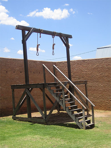 pt63131.jpg
