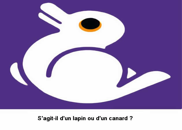 illusion_optique_lapin_canard.jpg