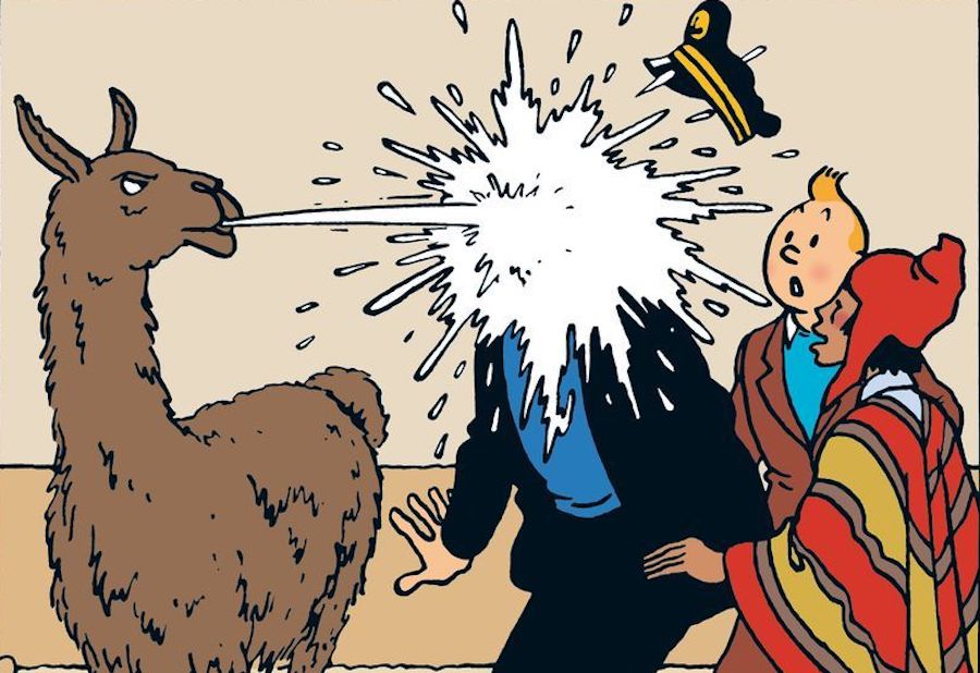 tintin-auditorium.jpg