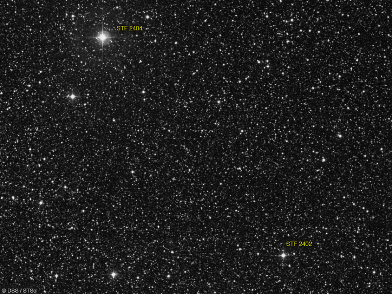 stf2404.jpg