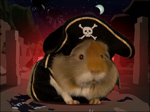 20081104a_guinea_pig_pirate_south_park.jpg