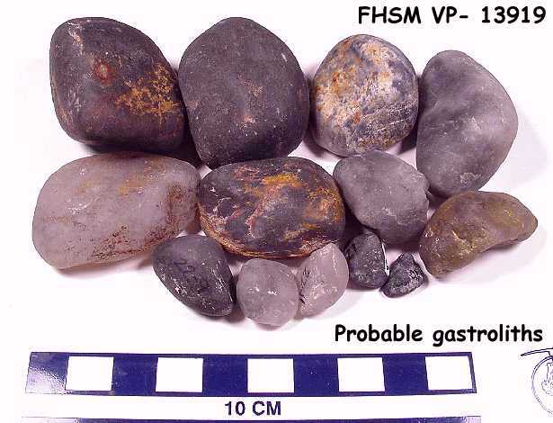 vp13919.jpg