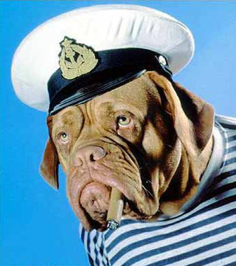 gueulle%20de%20capitaine.jpg