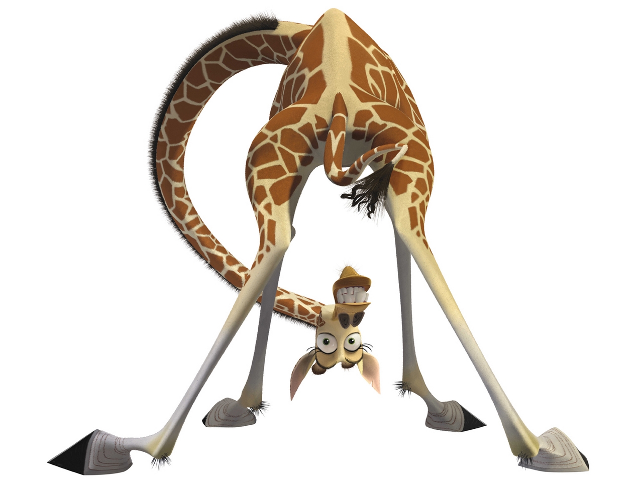 madagascar-dreamworks-melman1g.jpg